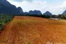 Land for sale in Khao Khram, Krabi