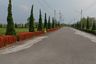Land for sale in San Klang, Chiang Mai