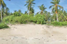 Land for sale in Sala Dan, Krabi