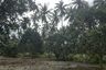 Land for sale in Ko Pha-ngan, Surat Thani