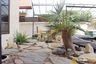 3 Bedroom House for rent in srisuk villa, Nong Prue, Chonburi