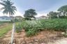 Land for sale in Pong, Chonburi