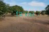 Land for sale in Nong Prue, Chonburi