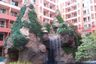 1 Bedroom Condo for sale in Nong Prue, Chonburi