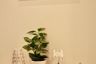 1 Bedroom Condo for sale in Copacabana Coral Reef, Nong Prue, Chonburi