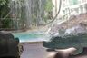 1 Bedroom Condo for sale in Amazon Residence, Nong Prue, Chonburi