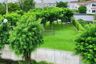 2 Bedroom Townhouse for sale in Town Avenue Rama 9, Hua Mak, Bangkok