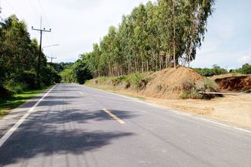Land for sale in Thep Krasatti, Phuket