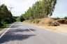 Land for sale in Thep Krasatti, Phuket