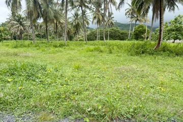 Land for sale in Pa Khlok, Phuket