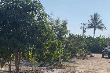 Land for sale in Thap Tai, Prachuap Khiri Khan
