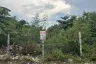 Land for sale in Lat Sawai, Pathum Thani
