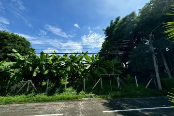 Land for sale in Bang Phlat, Bangkok