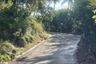 Land for sale in Maret, Surat Thani
