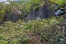 Land for sale in Maret, Surat Thani
