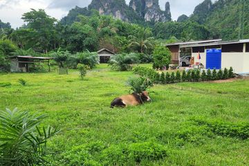 3 Bedroom House for Sale or Rent in Ao Nang, Krabi
