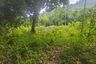 Land for sale in Lipa Noi, Surat Thani