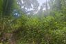 Land for sale in Lipa Noi, Surat Thani