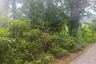 Land for sale in Lipa Noi, Surat Thani