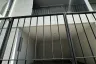 Office for rent in Bang Chak, Bangkok near BTS Punnawithi
