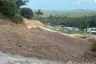 Land for sale in Bo Phut, Surat Thani