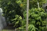 Land for sale in Bang Chak, Bangkok near BTS Punnawithi