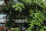 4 Bedroom Townhouse for sale in Suan Luang, Bangkok near MRT Si Nut