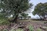 Land for sale in Rawai, Phuket