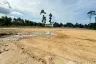 Land for sale in Mae Nam, Surat Thani