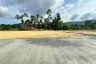 Land for sale in Mae Nam, Surat Thani