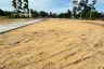 Land for sale in Mae Nam, Surat Thani