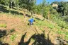 Land for sale in Sakhu, Phuket