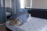1 Bedroom Condo for sale in Bang Kho Laem, Bangkok