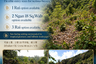 Land for sale in Ban Tai, Surat Thani