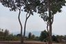 Land for sale in San Phi Suea, Chiang Mai