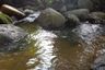 Land for sale in Ang Thong, Surat Thani