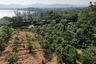 Land for sale in Wichit, Phuket