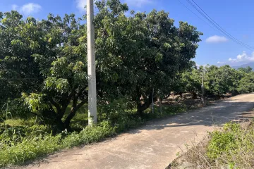 Land for sale in Thung Pi, Chiang Mai