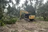 Land for sale in Ko Pha-ngan, Surat Thani