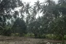 Land for sale in Ko Pha-ngan, Surat Thani