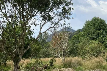 Land for sale in Ko Pha-ngan, Surat Thani