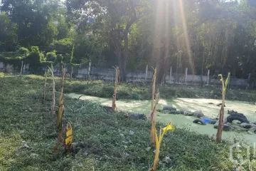 Land for sale in Samrong Nuea, Samut Prakan near BTS Bearing