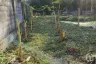 Land for sale in Samrong Nuea, Samut Prakan near BTS Bearing