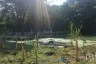 Land for sale in Samrong Nuea, Samut Prakan near BTS Bearing