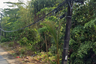 Land for sale in Mai Khao, Phuket