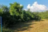 Land for sale in Nam Phrae, Chiang Mai