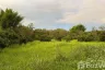 Land for sale in Nam Phrae, Chiang Mai