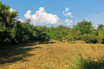 Land for sale in Nam Phrae, Chiang Mai