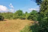 Land for sale in Nam Phrae, Chiang Mai
