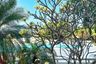 2 Bedroom Condo for rent in Nong Prue, Chonburi